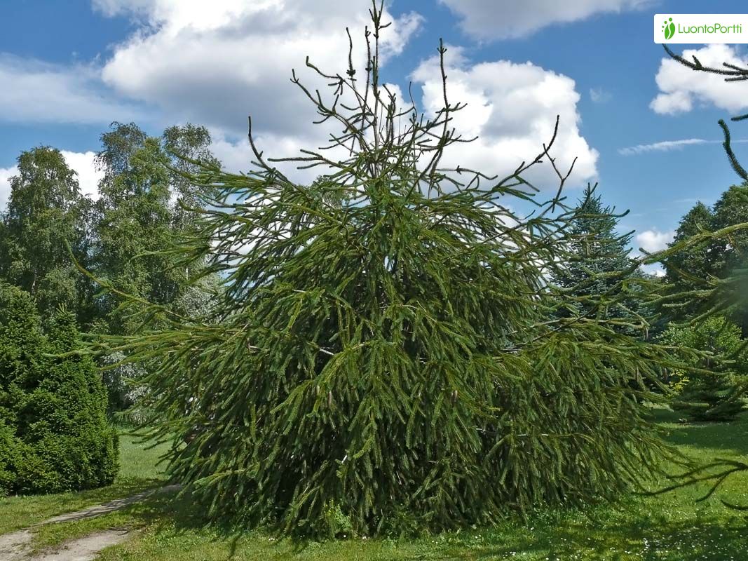 bc01eba0-e208-4d57-a660-